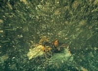 В СЪРЦЕТО НА МОРЕТО